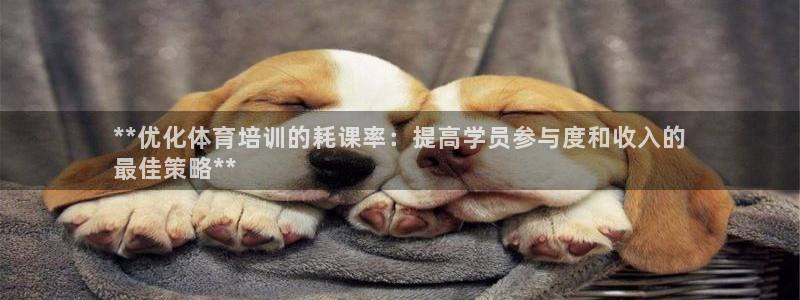 尊龙凯时提现不了：**优化体育培训的耗课率：提高学员