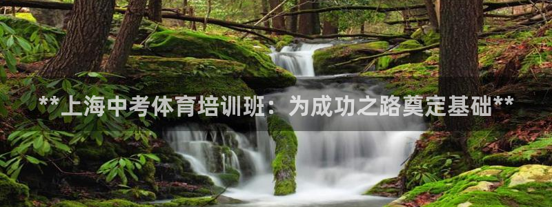 尊龙新版手机app下载：**上海中考体育培训班：为成
