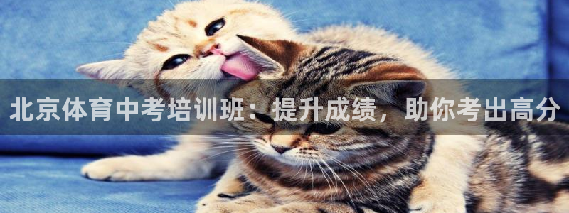 尊龙d88官网QU来就送38：北京体育中考培训班：提