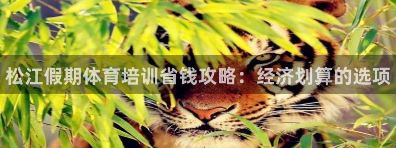 尊龙实业有限公司是正规还是仿：松江假期体育培训省钱攻