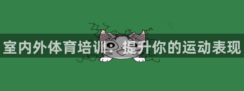 尊龙—人生就是博：室内外体育培训：提升你的运动表现