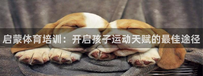 尊龙 5：启蒙体育培训：开启孩子运动天赋的最佳途径