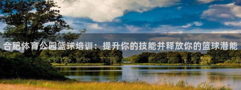 尊龙2020：合肥体育公园篮球培训：提升你的技能并释
