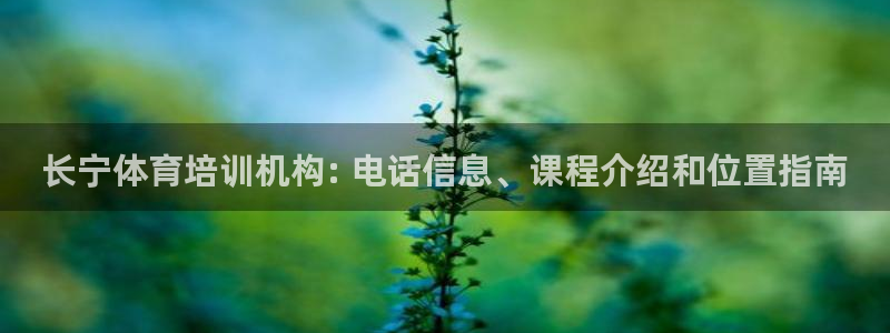 尊龙凯时手机版·(中国)官方网站：长宁体育培训机构: