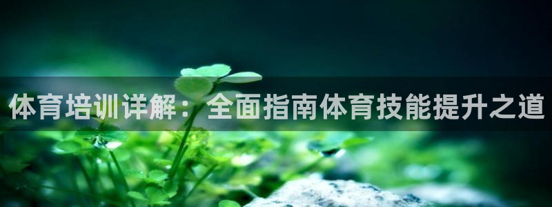 尊龙z6：体育培训详解：全面指南体育技能提升之道