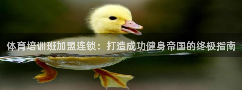 尊龙凯时平台不给出款怎么办：体育培训班加盟连锁：打造