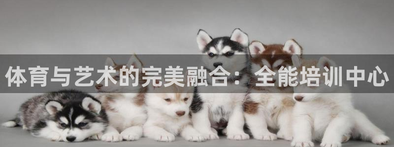 尊龙凯时ag旗舰厅：体育与艺术的完美融合：全能培训中