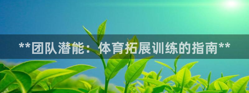 尊龙官方APP下载：**团队潜能：体育拓展训练的指南
