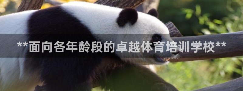 尊龙凯时网页版：**面向各年龄段的卓越体育培训学校*