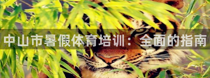 尊龙现金一下S选来就送38：中山市暑假体育培训：全面