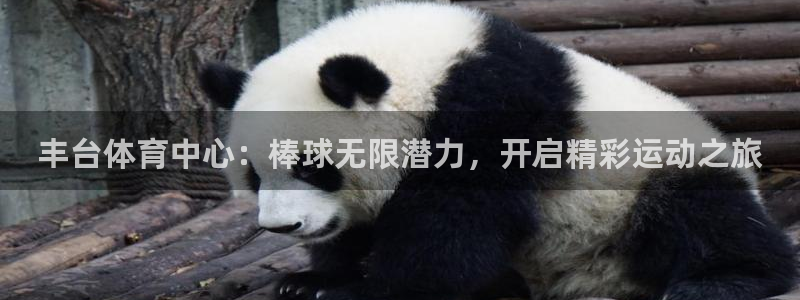 尊龙人生就是博现金：丰台体育中心：棒球无限潜力，开启