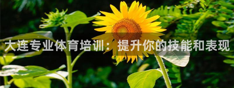 尊龙凯时返现：大连专业体育培训：提升你的技能和表现