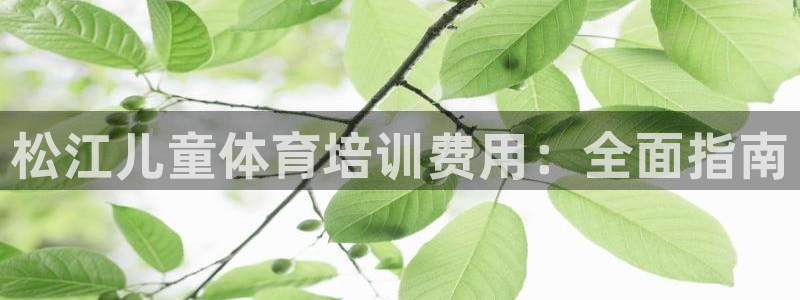 尊龙凯时z6官网：松江儿童体育培训费用：全面指南