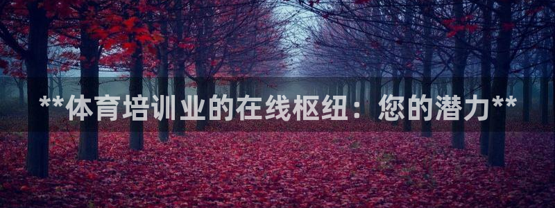 尊龙凯时人生就是博·(中国)：**体育培训业的在线枢