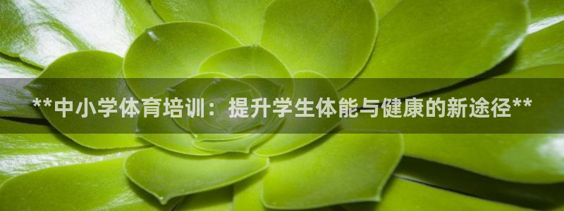 尊龙d88手机app免费下载：**中小学体育培训：提
