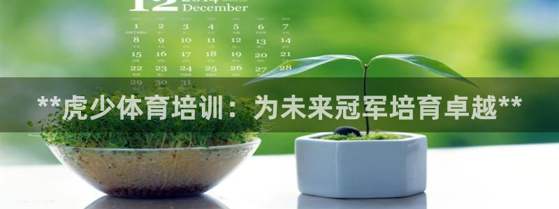 凯时国际app首页下载：**虎少体育培训：为未来冠军