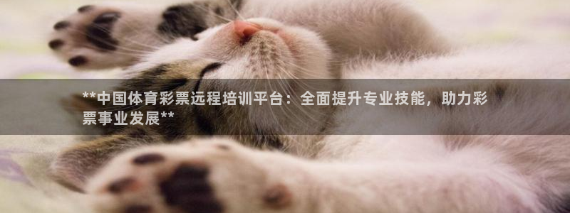 尊龙凯时人生就博官网登录：**中国体育彩票远程培训平