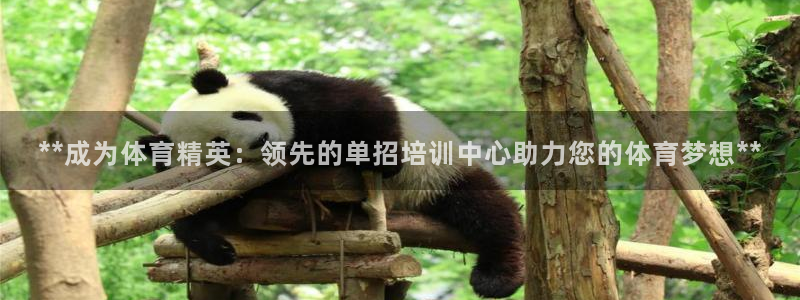 怎样能成为尊龙凯时平台的会员：**成为体育精英：领先