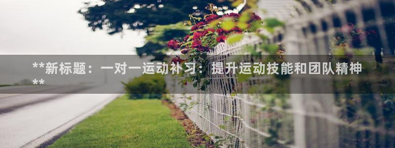 下载凯时AG旗舰厅首页：**新标题：一对一运动补习：