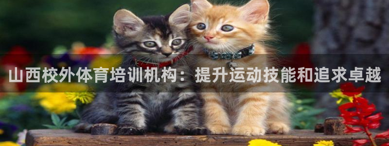尊龙最近一次露面：山西校外体育培训机构：提升运动技能