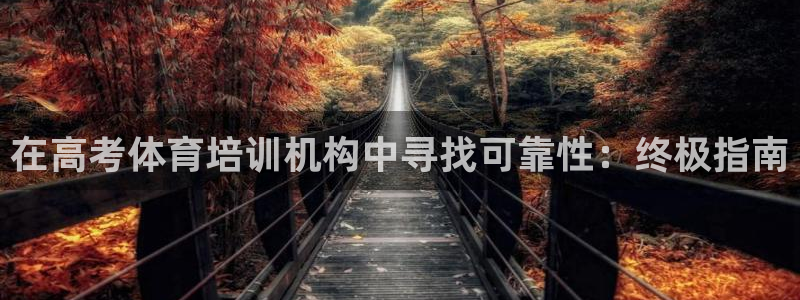 尊龙人生就是博网站下载：在高考体育培训机构中寻找可靠