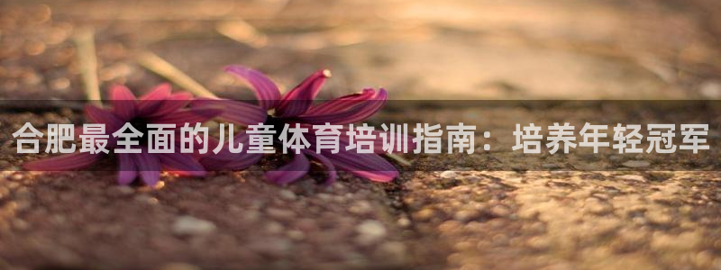 尊龙凯时可以提现吗：合肥最全面的儿童体育培训指南：培