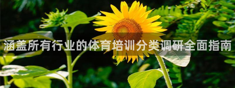 尊龙集团有限公司官网：涵盖所有行业的体育培训分类调研