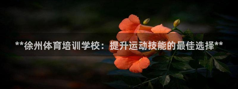尊龙d88官网选RA来就送38：**徐州体育培训学校