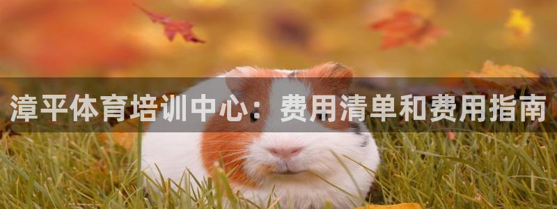 尊龙凯时是不是合法：漳平体育培训中心：费用清单和费用