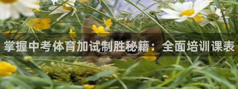 尊龙实业有限公司是正规还是仿：掌握中考体育加试制胜秘