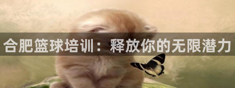 kb88凯时唯一官网注册：合肥篮球培训：释放你的无限