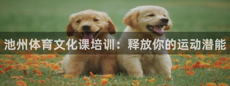 凯时kb88·中国官方网站：池州体育文化课培训：释放
