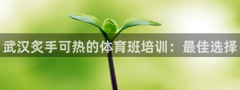 尊龙官方APP下载：武汉炙手可热的体育班培训：最佳选