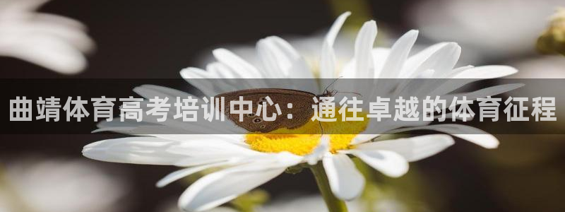 尊龙ag旗舰厅登录 租车app下载：曲靖体育高考培训