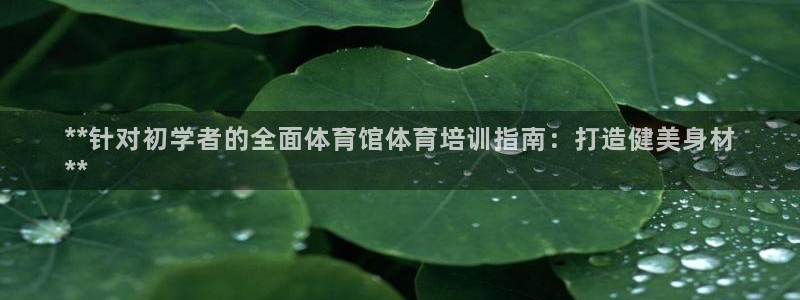 d88尊龙凯时：**针对初学者的全面体育馆体育培训指
