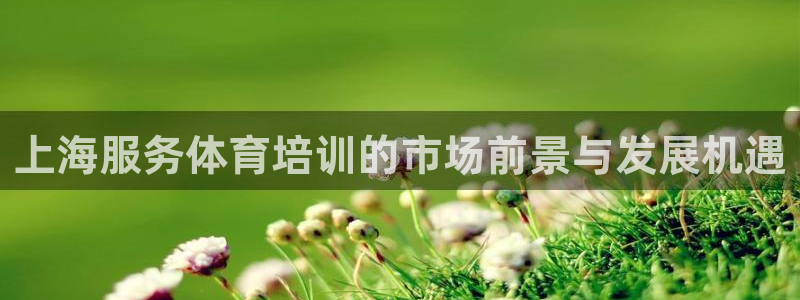 尊龙人生就要博旧版：上海服务体育培训的市场前景与发展