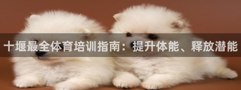 尊龙网址是选访问zd207：十堰最全体育培训指南：提