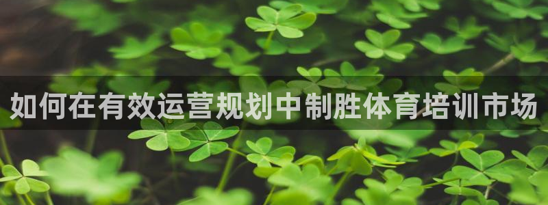 凯时k66会员登录：如何在有效运营规划中制胜体育培训