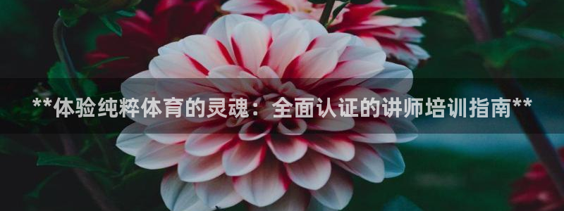 尊龙凯时人生就是博·(中国)官网：**体验纯粹体育的