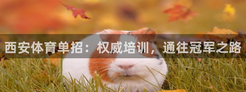 凯时官网手机版首页：西安体育单招：权威培训，通往冠军