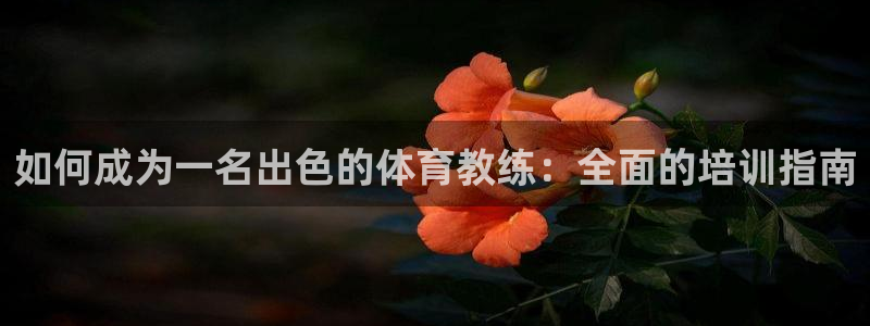 尊龙官网手：如何成为一名出色的体育教练：全面的培训指