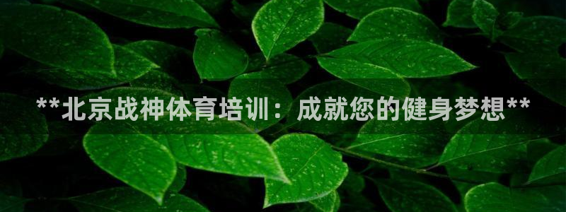 凯时kb88官方：**北京战神体育培训：成就您的健身