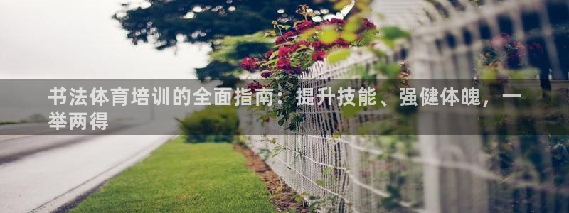 尊龙凯时 人生就是搏：书法体育培训的全面指南：提升技