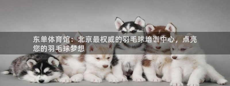 尊龙,人生就是搏：东单体育馆：北京最权威的羽毛球培训