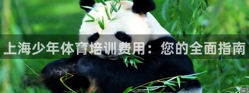 尊龙凯时品牌介绍：上海少年体育培训费用：您的全面指南