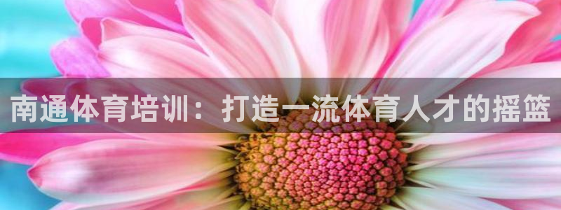 尊龙凯时官网网页版：南通体育培训：打造一流体育人才的