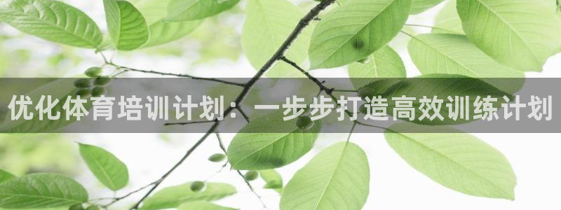 尊龙凯时白家乐：优化体育培训计划：一步步打造高效训练
