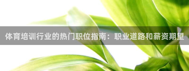 尊龙凯时白家乐：体育培训行业的热门职位指南：职业道路