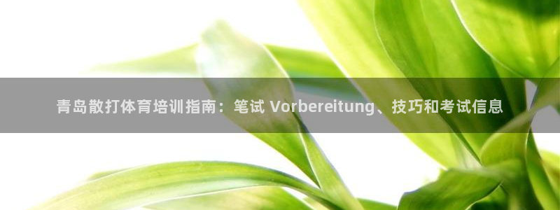 尊龙实业有限公司：青岛散打体育培训指南：笔试 Vor