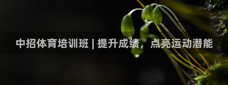 尊龙凯时存款不上分：中招体育培训班 | 提升成绩，点